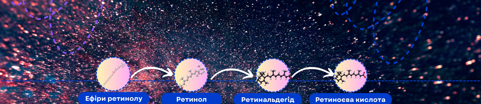 Ієрархія Ретиноїдів. Ретинол, ретиніл та інші види