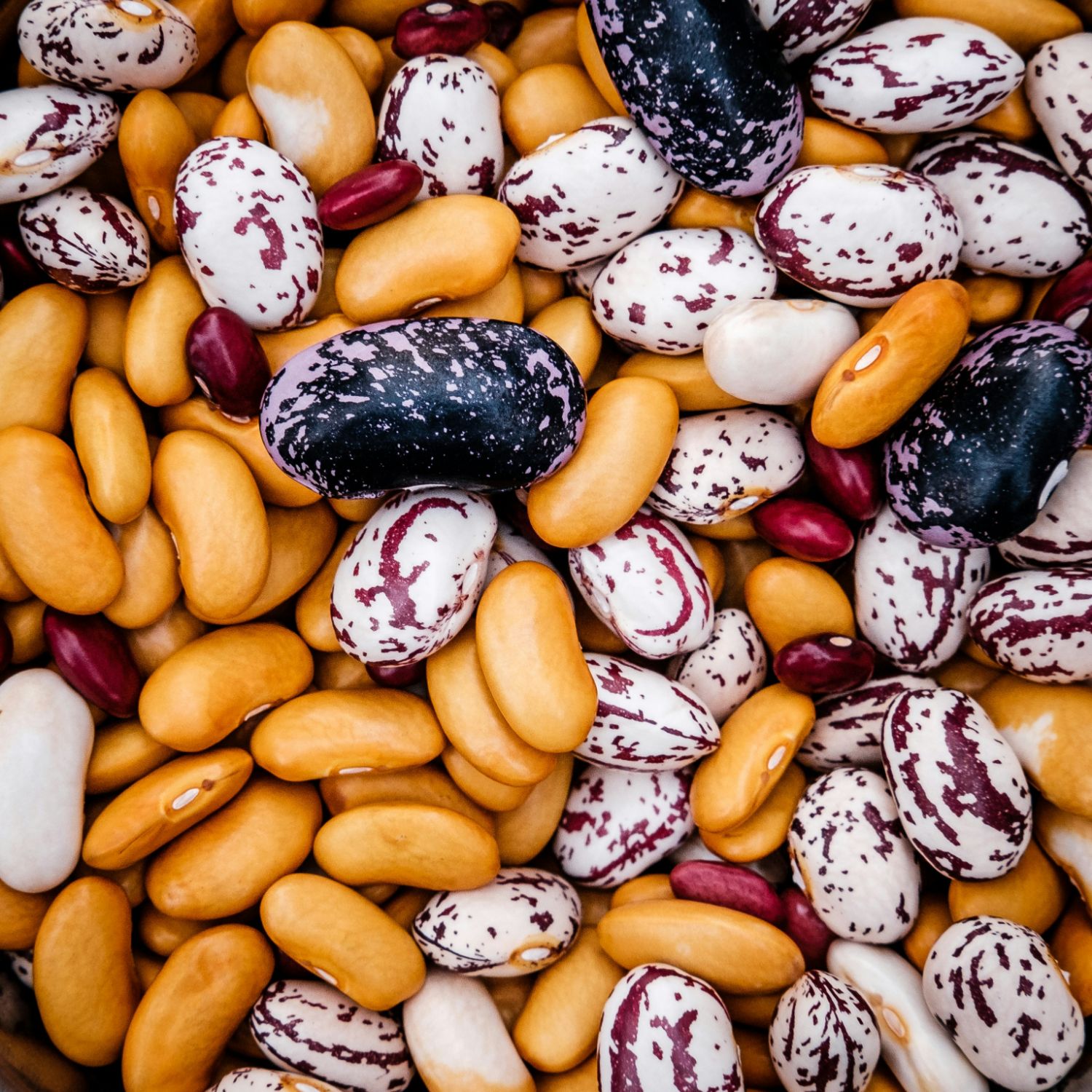 Які продукти допомагають знизити холестерин?