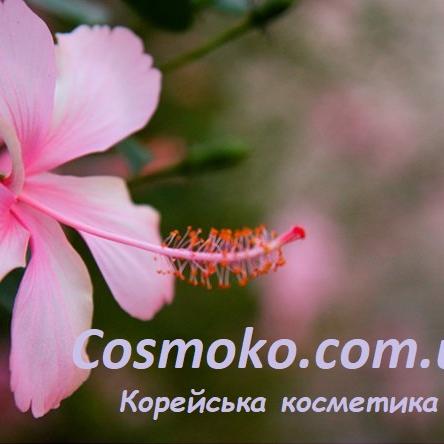 Cosmoko